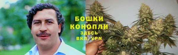 спайс Медвежьегорск