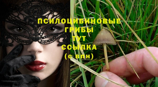 СК Михайловка