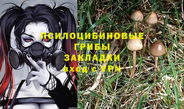 СК Михайловка