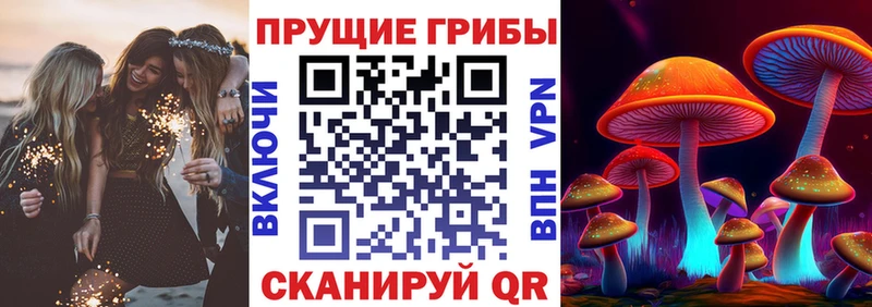 купить наркоту  мега ссылка  Галлюциногенные грибы MAGIC MUSHROOMS  Курск 