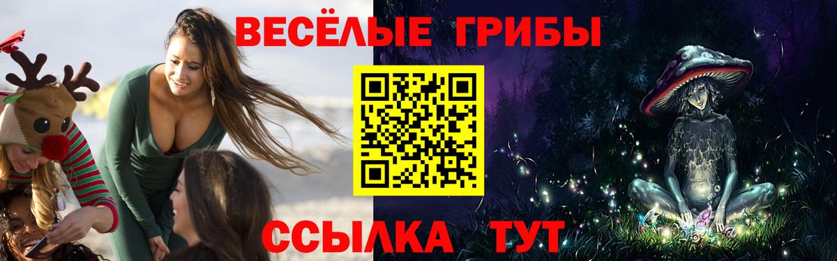 Галлюциногенные грибы Magic Shrooms Курск